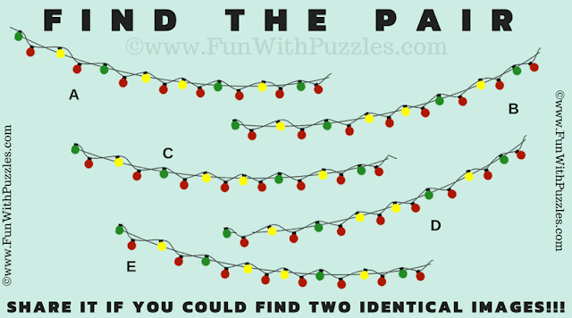 Find the Pair: Easy Picture Riddle for Teens