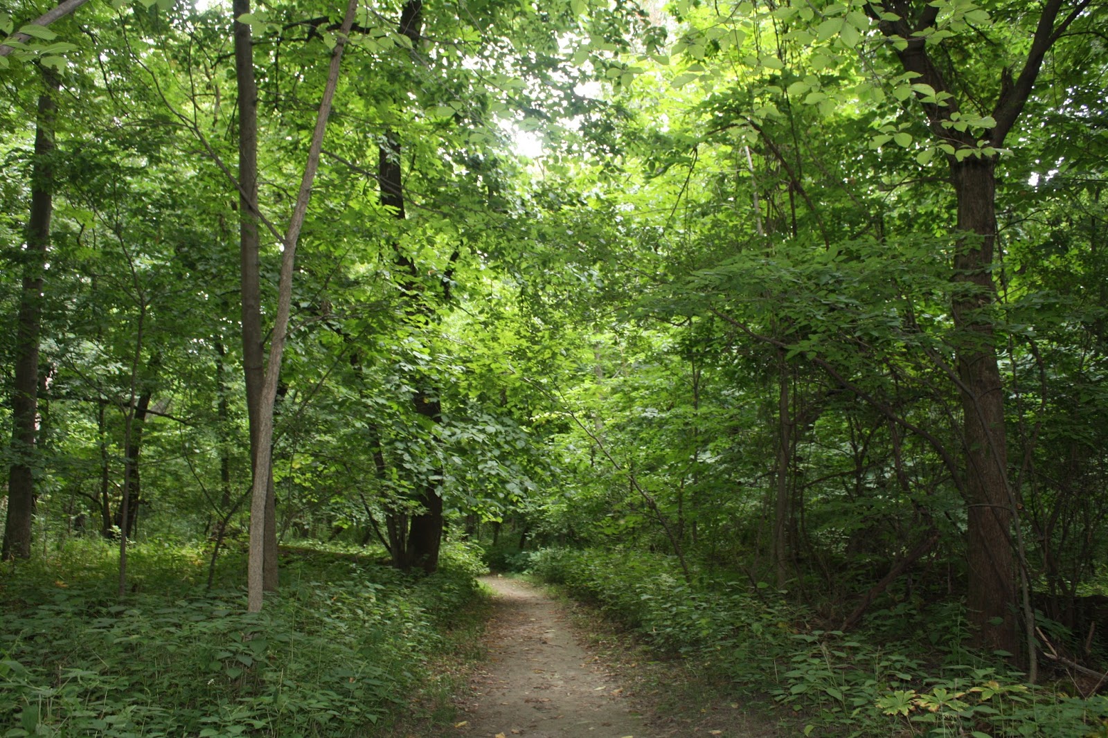 A Little Time and a Keyboard Family Weekend in the Quad Cities
