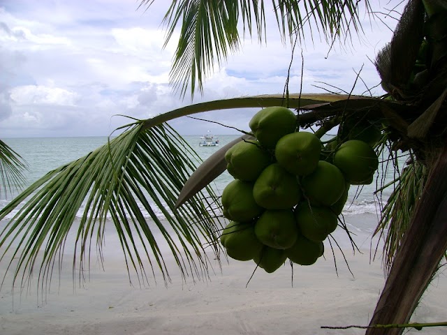 Praia de Paripueira