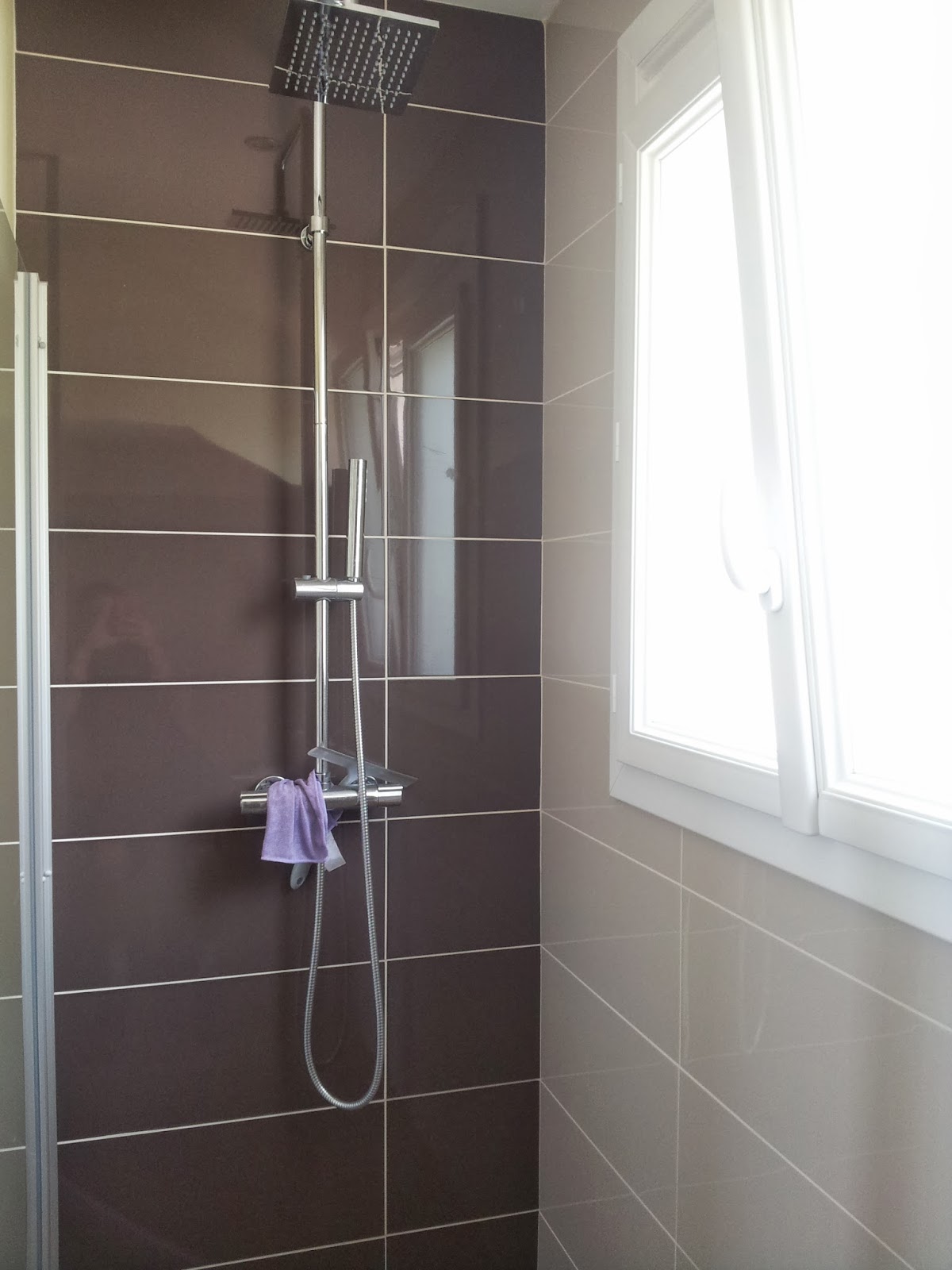 Michel Le Coz Agencement & Décoration Salle d'eau marron Michel Le Coz Agencement & Décoration Salle d'eau marron