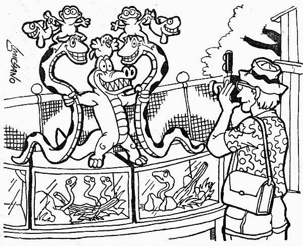 SMIG: Petting Zoo Coloring Book