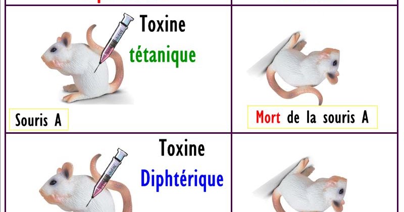 Quels sont les moyens de l'immunité non spécifique ?