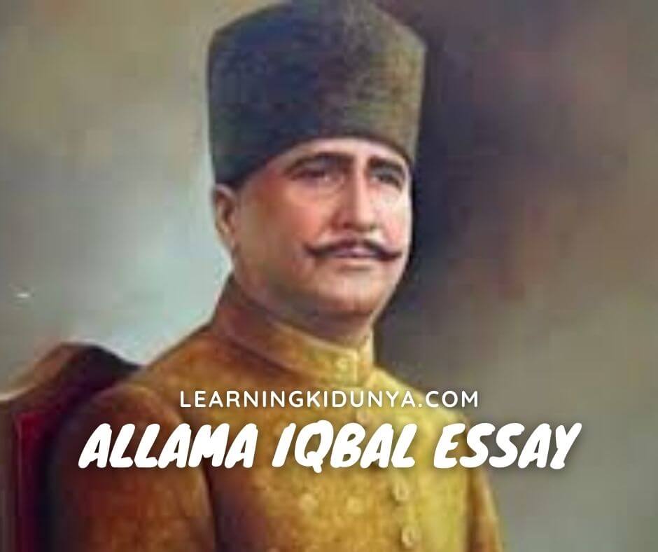 Allama Iqbal Essay | Allama Iqbal Essay 500 Words | Allama Iqbal Essay In English With Quotations