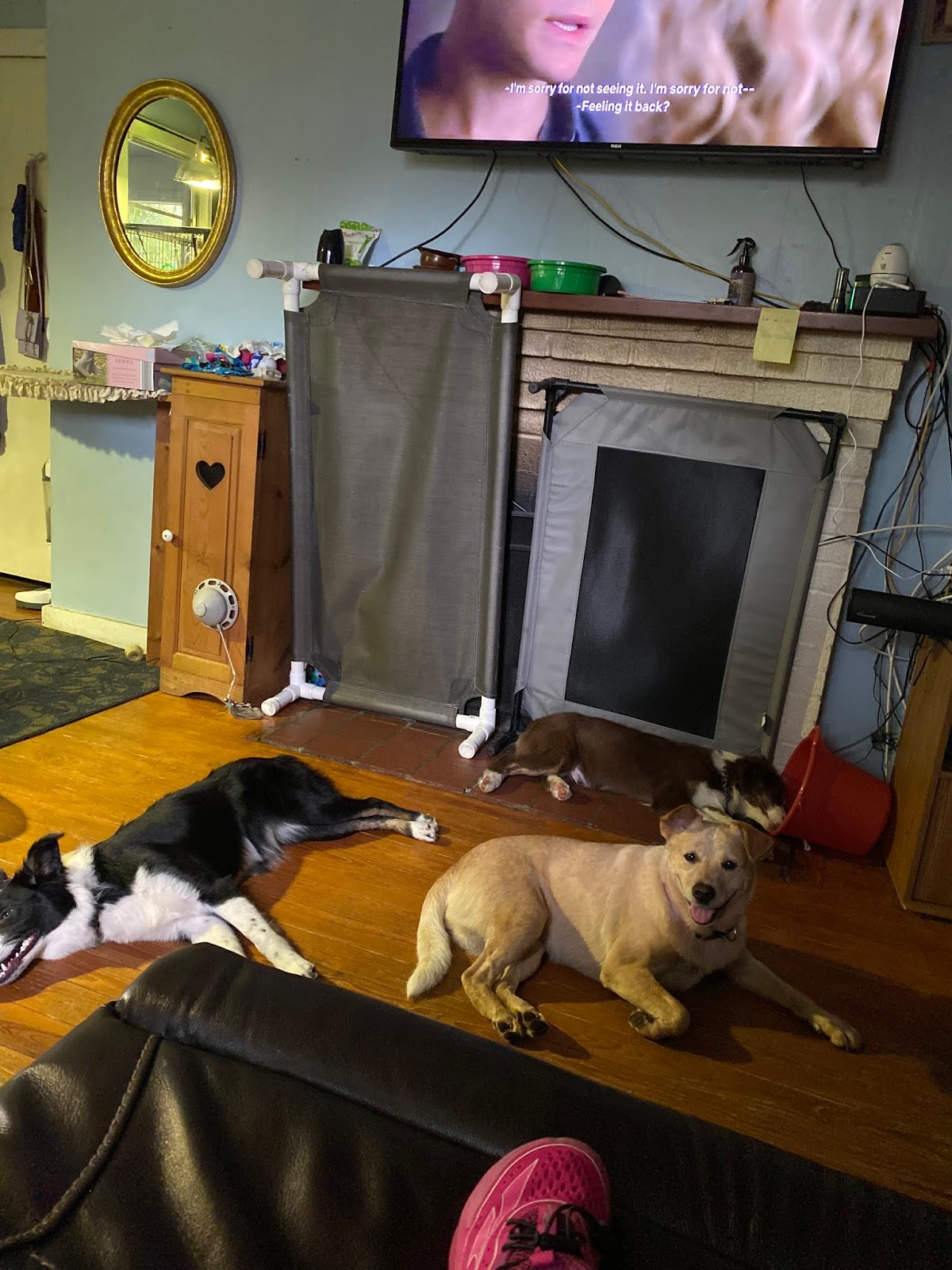 How To Make The Most Of Your Time While Staying Indoors During A Pandemic