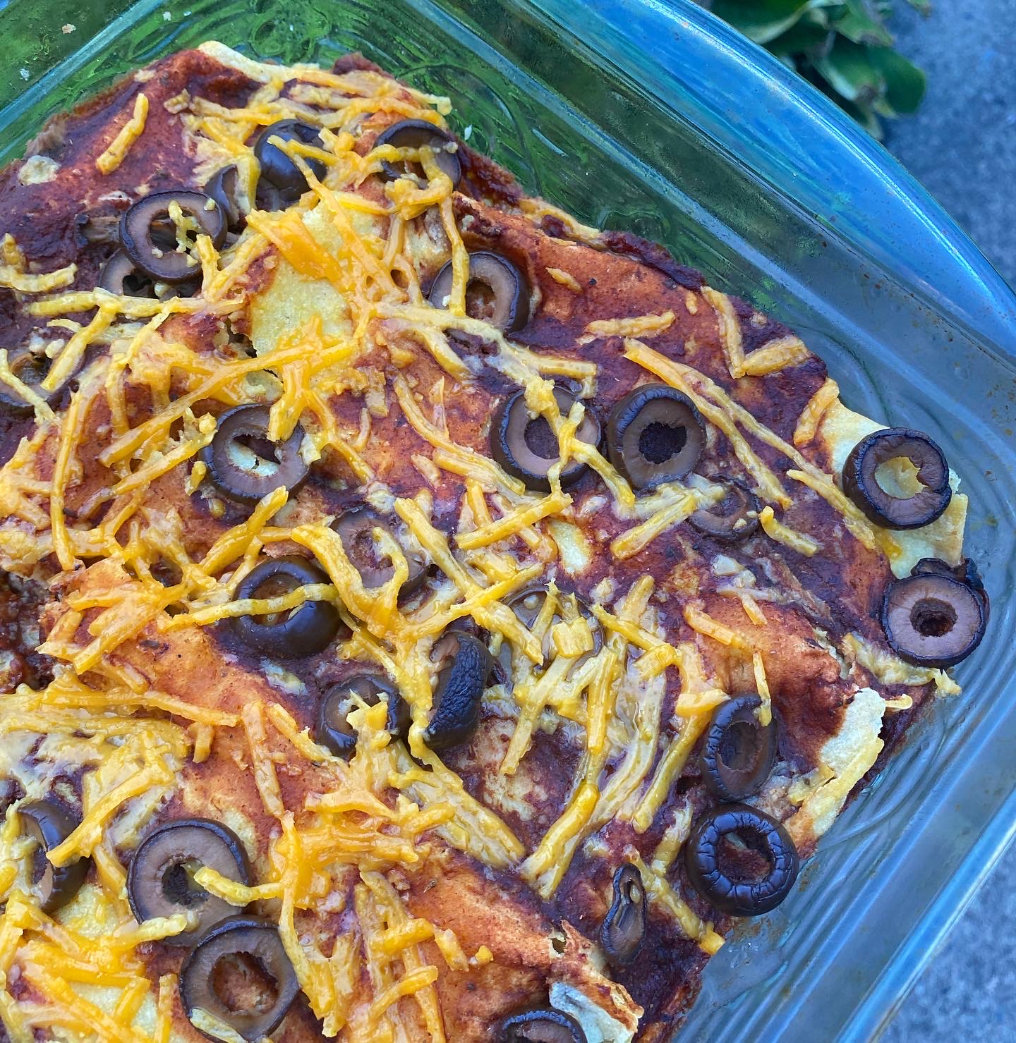 Vegan Crunk Enchiladas! Tofu Scramble! And the BEST BAGEL SAMMICH EVER!