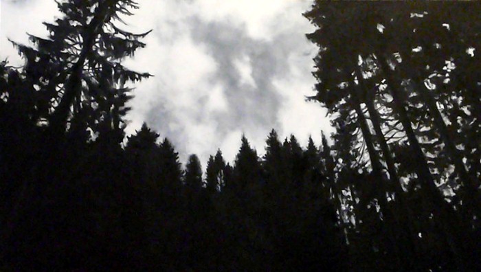 Alessandro Pagani Итальянский художник