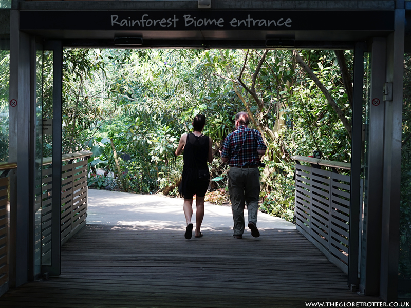 Rainforest Biome Eden Project