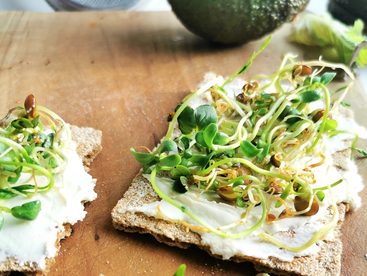 Sprossen ziehen im selbstgemachten Sprossenglas Sprossen ziehen im selbstgemachten Sprossenglas