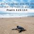 Psalm 119-114