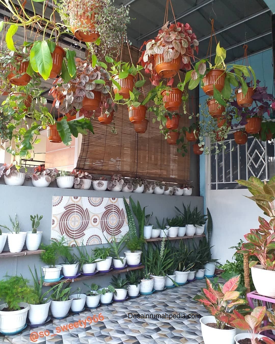 7 Inspirasi Menata Tanaman Gantung di Teras yang Rapi dan Memesona