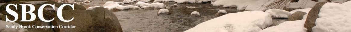 Sandy Brook Conservation Corridor