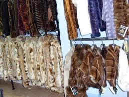 ΚΙ ΑΛΛΗ ΛΗΣΤΕΙΑ ΓΟΥΝΑΡΙΚΩΝ ΕΓΙΝΕ ΤΗΝ ΠΡΟΗΓΟΥΜΕΝΗ ΕΒΔΟΜΑΔΑ ΣΤΗΝ ΚΑΤΕΡΙΝΗ ΚΙ ΑΛΛΗ ΛΗΣΤΕΙΑ ΓΟΥΝΑΡΙΚΩΝ ΕΓΙΝΕ ΤΗΝ ΠΡΟΗΓΟΥΜΕΝΗ ΕΒΔΟΜΑΔΑ ΣΤΗΝ ΚΑΤΕΡΙΝΗ