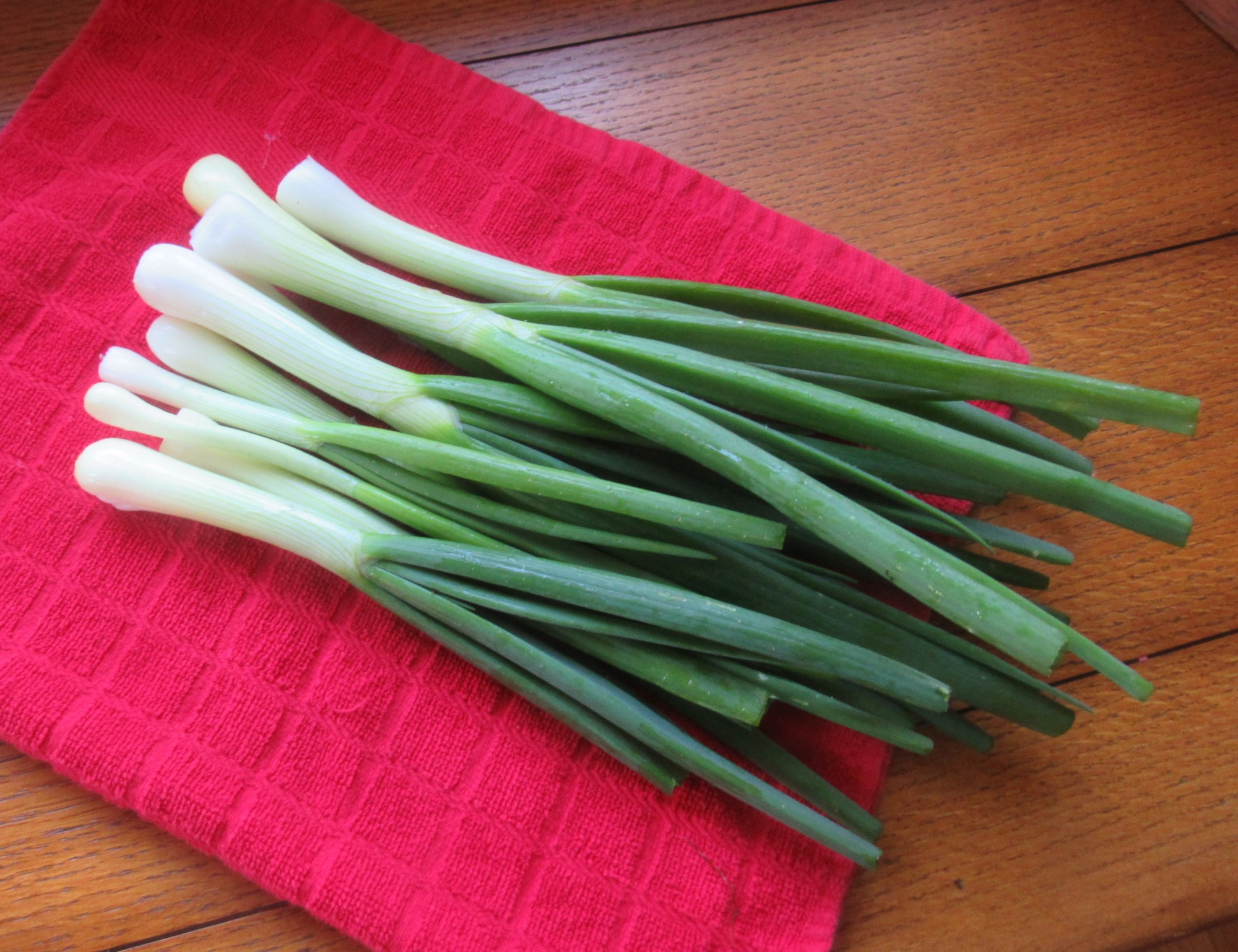 Life On Alderhill Farm Spring Onions and New Onion Beds