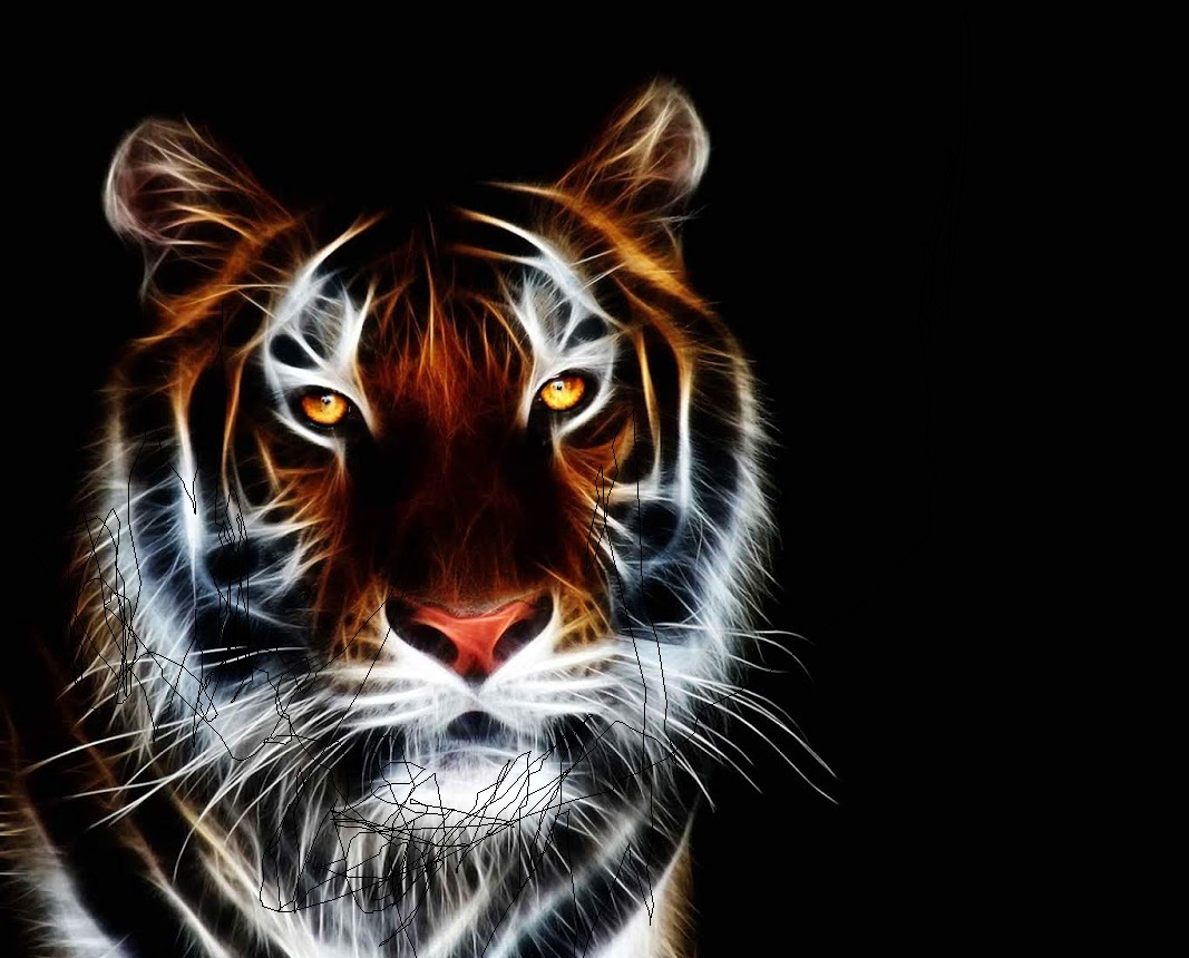 Best Animated Wallpaper | Tiger Wallpapers