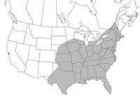 Distribution in North America. Graphic by Marcos Gomez. 2005 A map showing in gray the areas where the Shaggy-Legged Gallinippers can be found in North America.