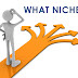 Comment choisir la niche de votre blog?