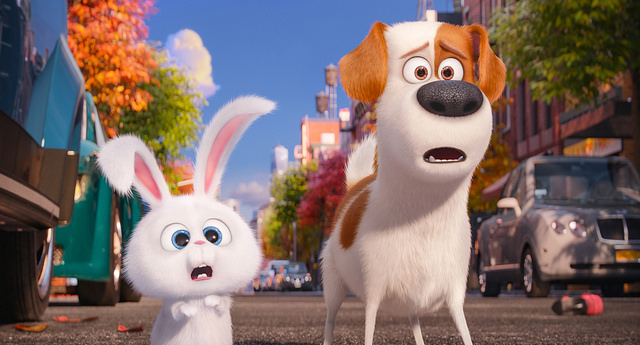 secret life of pets evcil hayvanlarin