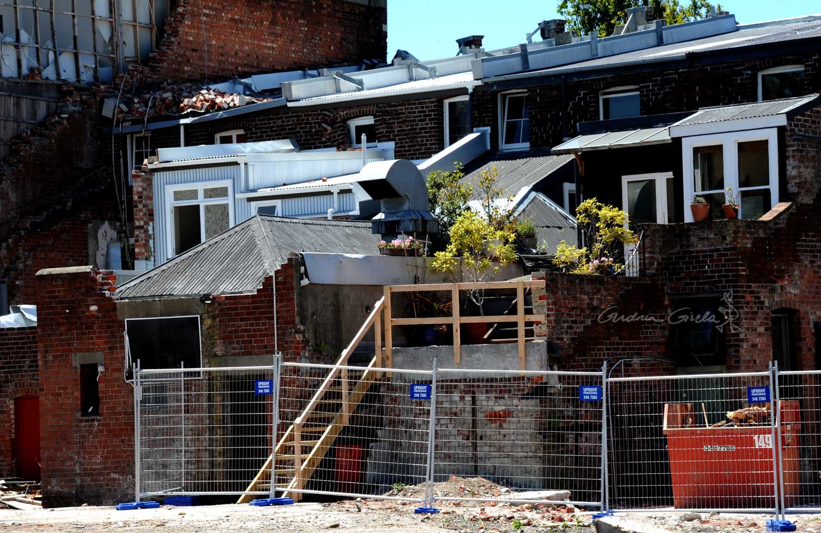 Assorted Goodies Boxing Day in Sunny & Shaken Christchurch