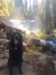 Autumn on State Route 89