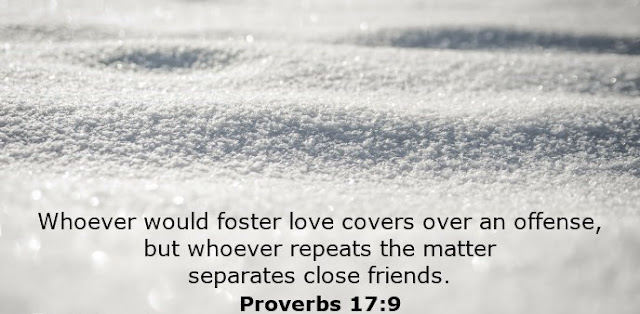  Whoever would foster love covers over an offense, but whoever repeats the matter separates close friends. 