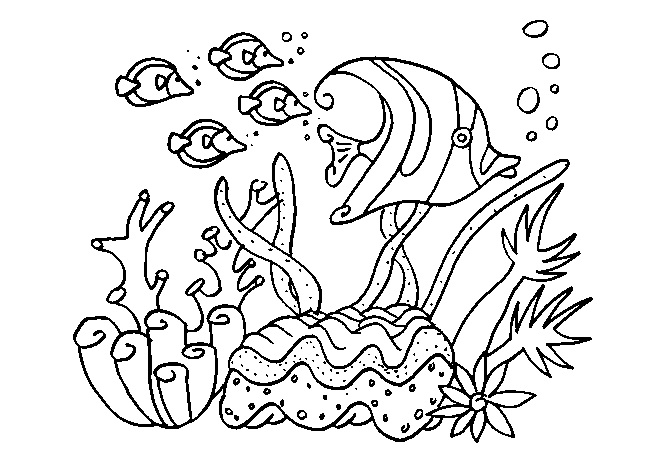 ocean bottom coloring pages - photo #23
