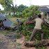 Pohon Tumbang, Personel Kembangbahu Turun Tangan