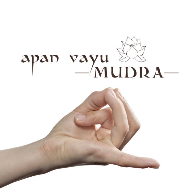 8. APANA VAYU MUDRA - MUDRA OF THE HEART