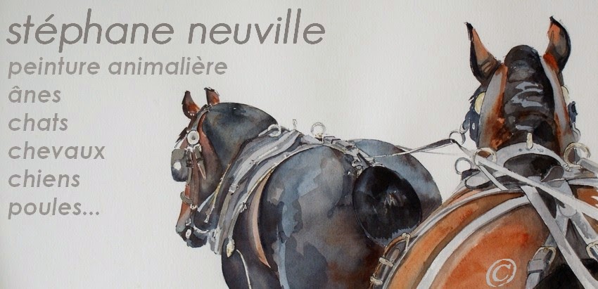 Stéphane neuville, peinture animalière: aquarelle,  sumi-e,  gravure,  pastel, terre cuite.