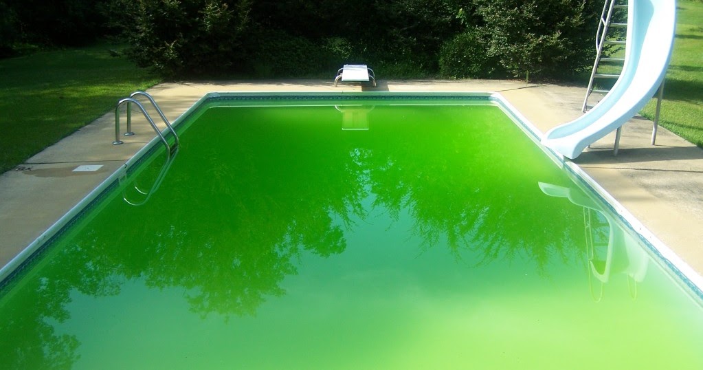 Бассейн с желтой водой. Водоросли в бассейне. Бассейн каркасный зеленый. Зеленая вода в бассейне. Зеленый бассейн.