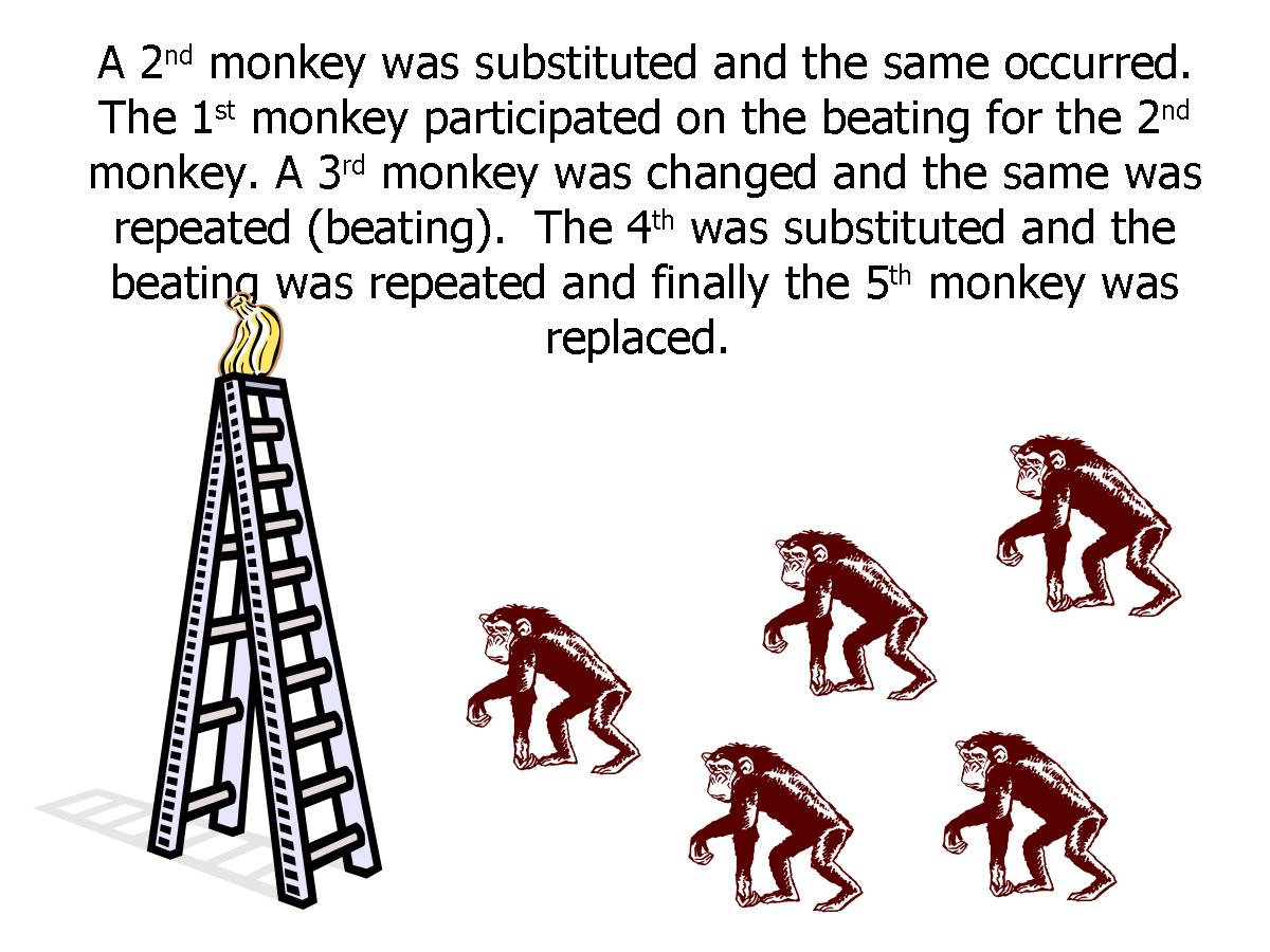How Paradigm Or Work Process Is Formed 