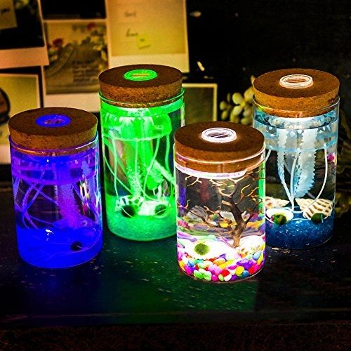 Model Aquarium Toples Unik Harga Murah Infoikan Com