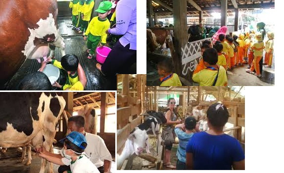 Cibugary Agro Wisata Edukasi Di Cibubur Inline Cibugary Agro Wisata Edukasi Di Cibubur Inline