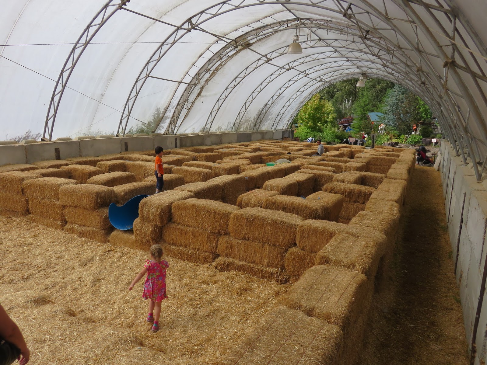 Writing With a Texas Twang: Remlinger Farms - Saturday Snapshots