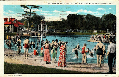 Old Florida: Swimming at Silver Springs