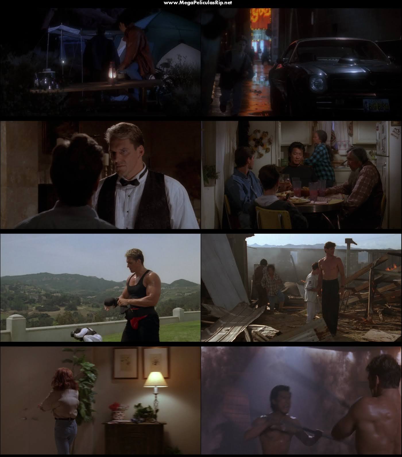 Campeon De Campeones 2 1080p Latino