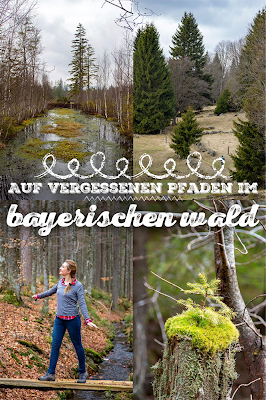 Auf vergessenen Wegen von Finsterau nach Buchwald  Wandern im Bayerischen Wald  Wanderung Nationalpark Bayerischer Wald