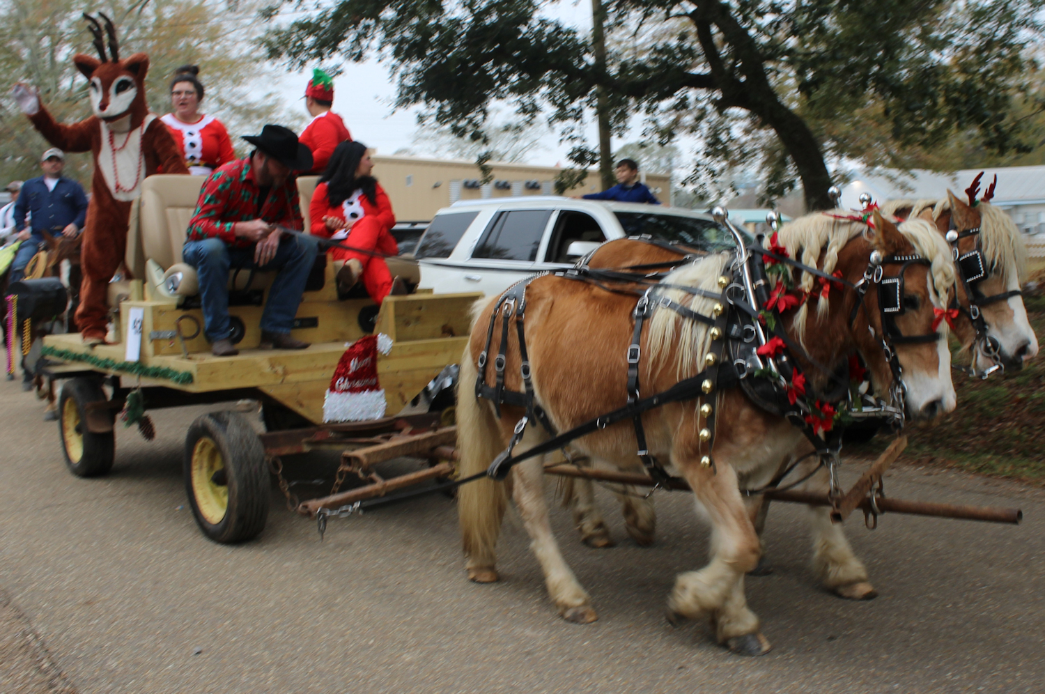 Tammany Family Folsom Horse & Wagon Christmas Parade