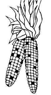 Corn coloring pages 4