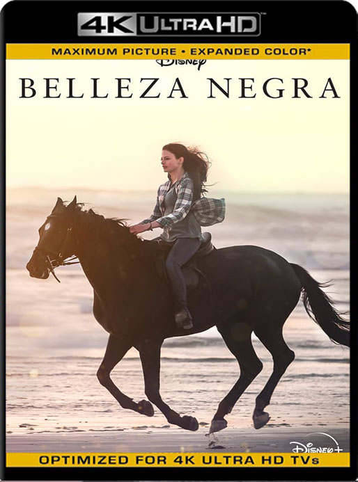 Belleza Negra (2020) 4k WEB-DL HDR Latino [Google Drive] Tomyly