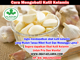 Obat Kutil Kelamin Obat Kutil Kelamin