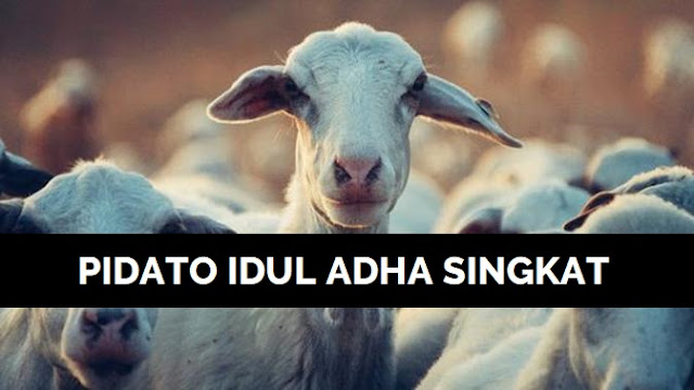 Pidato Idul Adha 2020 Keutamaan Qurban di Masa Pandemi ...