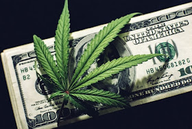 best marijuana business opportunities top cannabis startup opportunity
