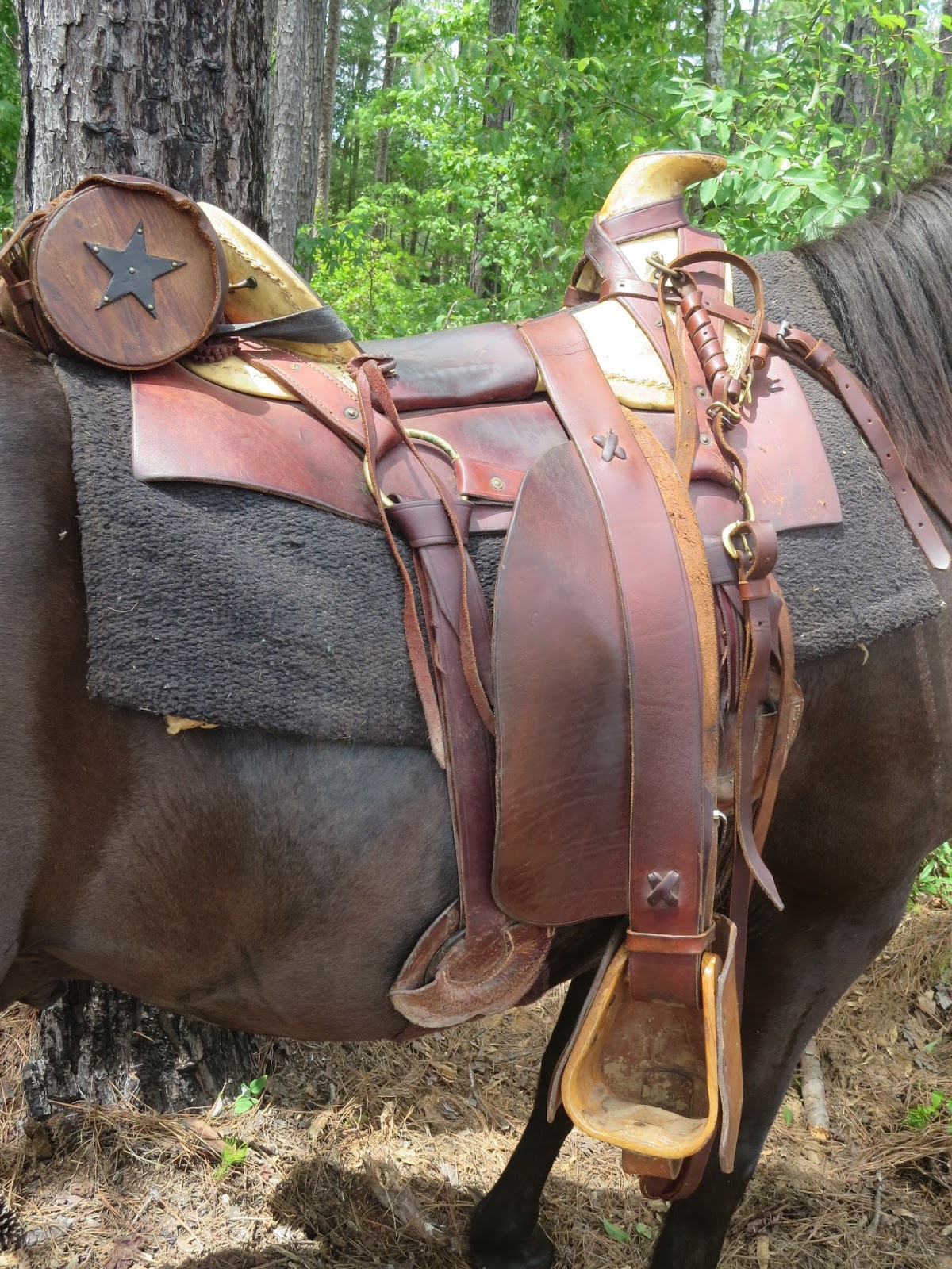 The Civil War Picket Saddle up! At Brown's Mill event in