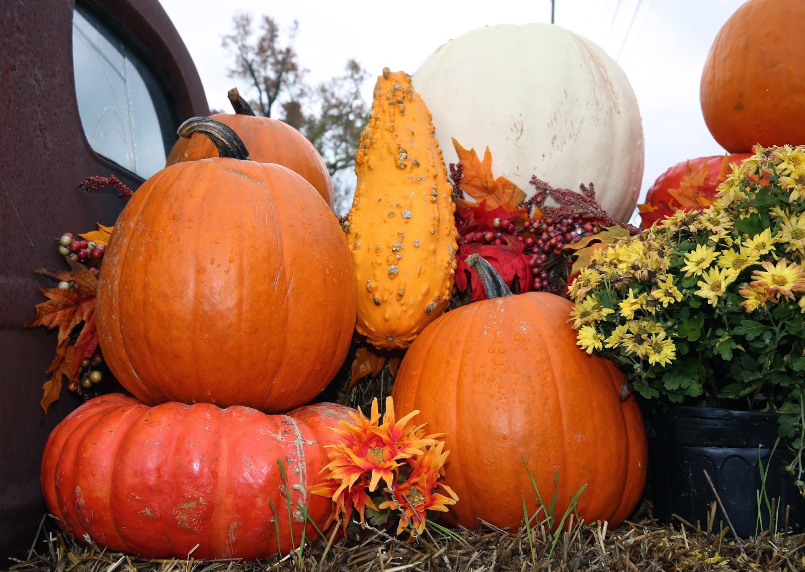 Sweet Southern Days: October 2014