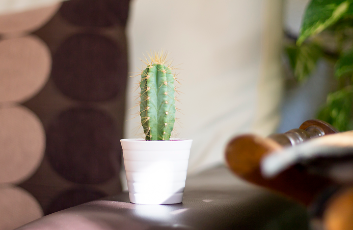 siete objetos definen tag lista