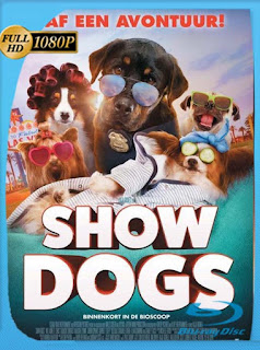 Superagente Canino (2018) HD [1080p] Latino [GoogleDrive] SXGO