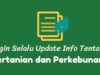 Ini dia Jenis-jenis Kentang dan Teksturnya Ini dia Jenis-jenis Kentang dan Teksturnya