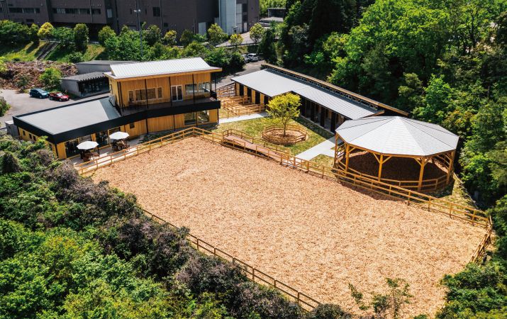 実際の製品になった子どもたちの発明品 7 選