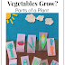 Where do Vegetables Grow? Gardening Craft with Free Printable