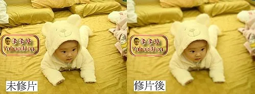 單眼淺景深效果|攝影修圖後製